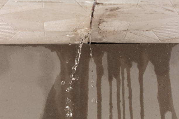 Professional Structural Drying technician working in Concord, MI
